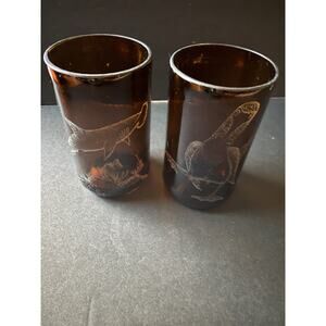 Handcrafted Etched Art Glass Beer Bottle Galapagos Set (2) Coastal Brown Barware